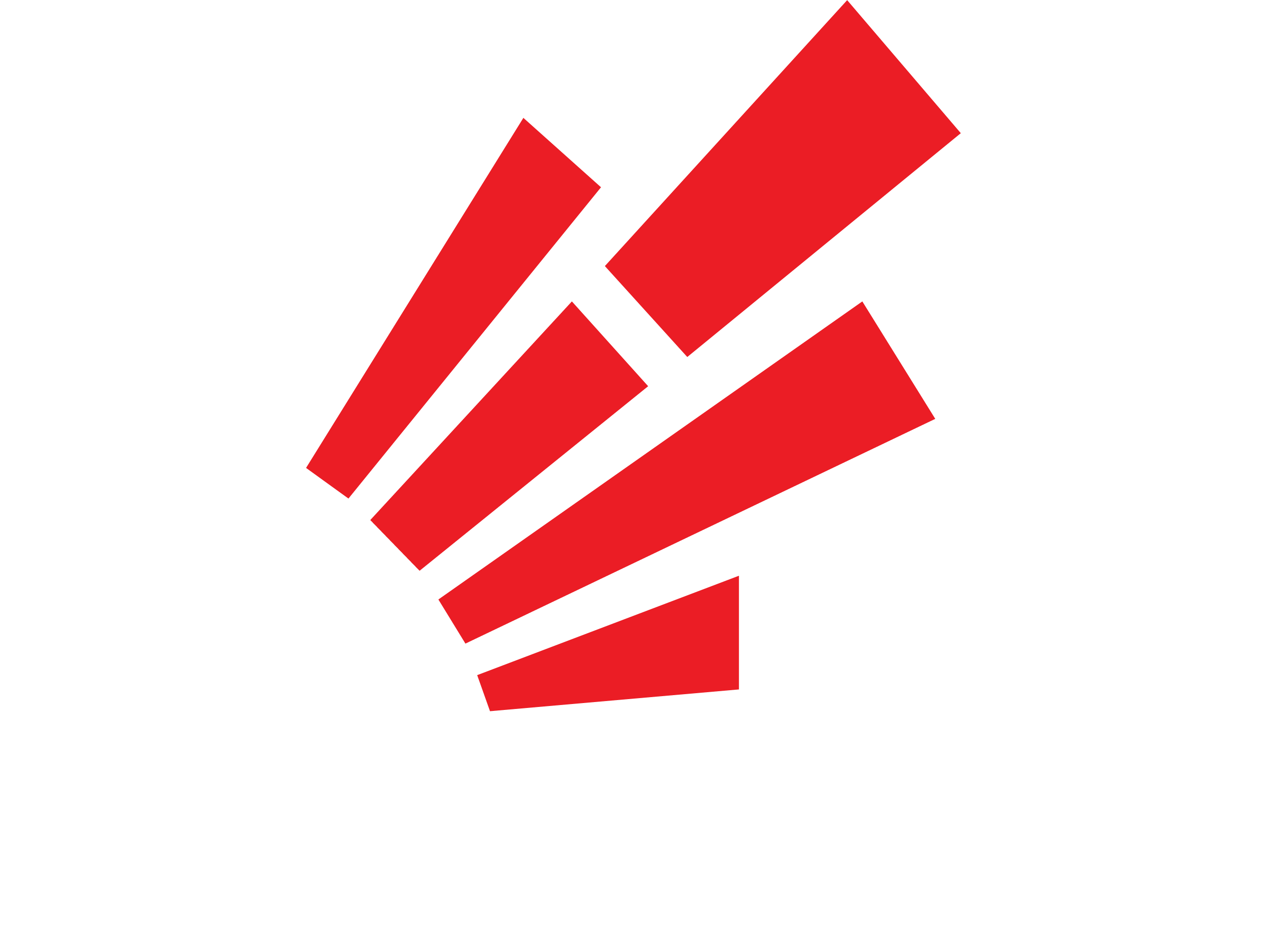 osamacomputer corporate logo